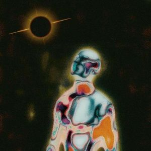 Meet your Posher, Sofie